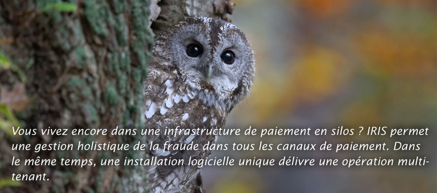 More comprehensive. Holistic fraud management.